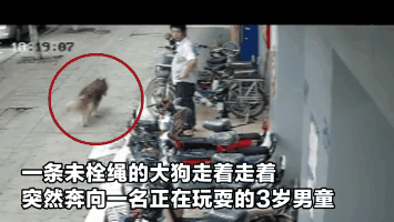 1675930703846595.gif 640.gif